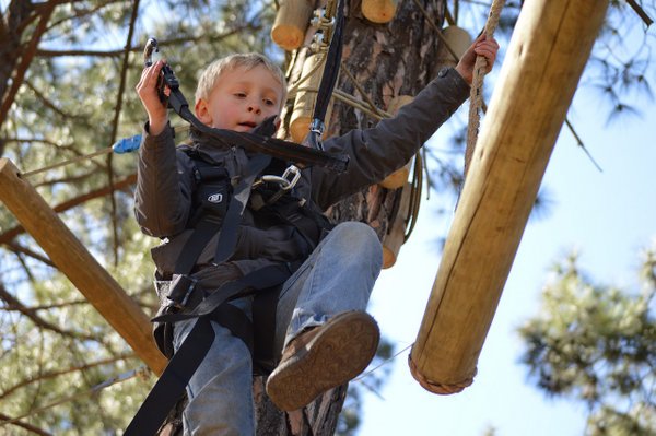 rope-course-4898114_1280