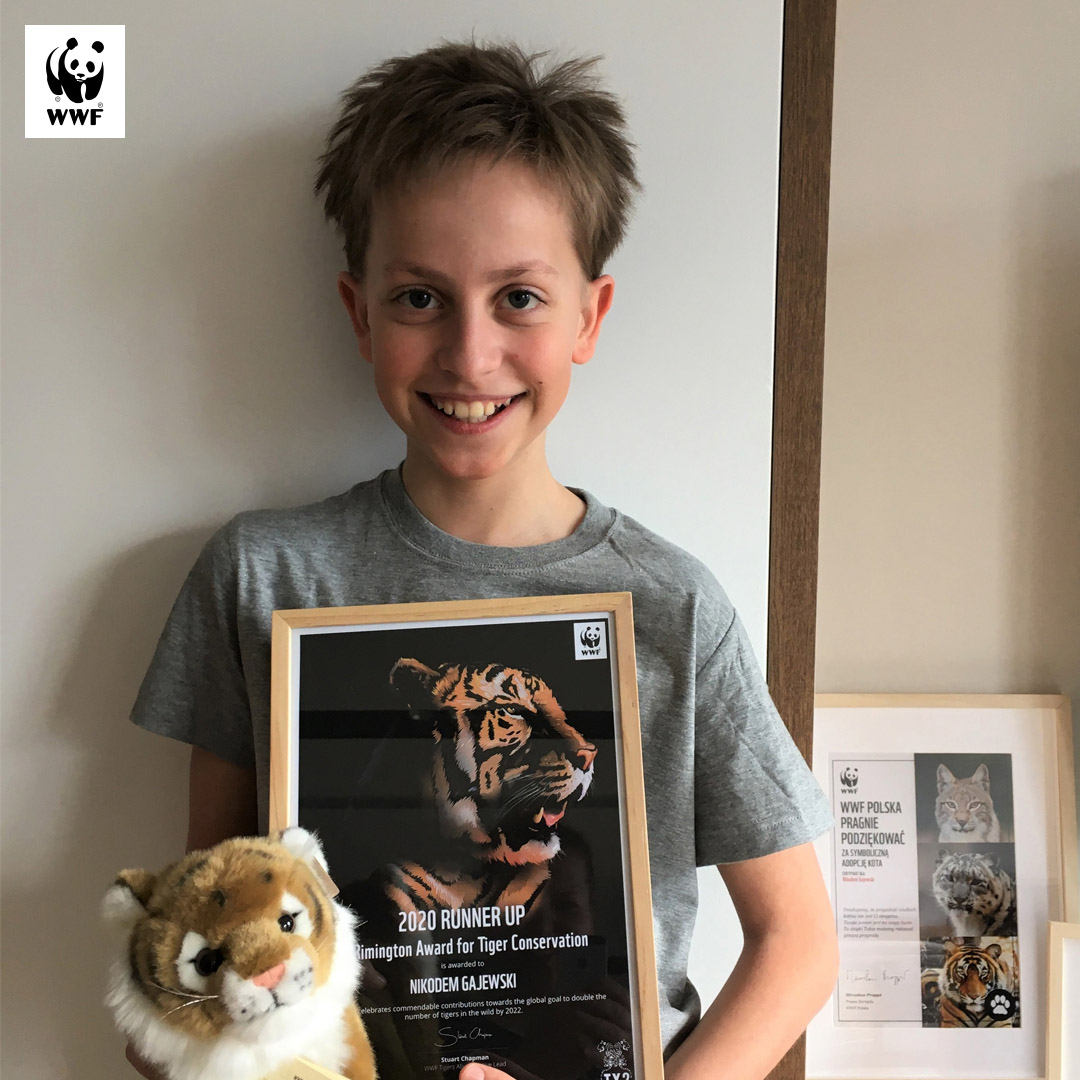 Nikodem z Dwujęzycznej Szkoły Podstawowej ATUT z międzynarodwym wyróżnieniem The Remingtoon Award for Tiger Conservation