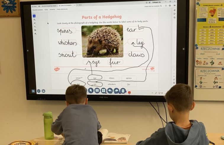 557789877_1360416499427296_5839570857411048360_n