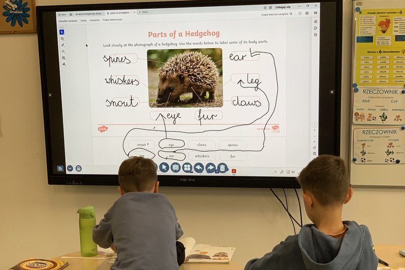 557789877_1360416499427296_5839570857411048360_n