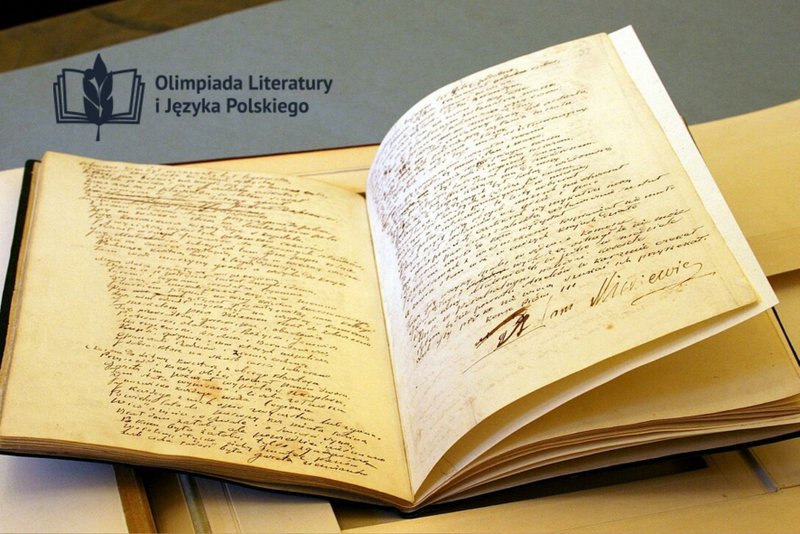 ilustracje na stronę www (4)