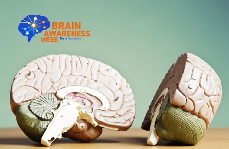 ilustracje na stronę www (10)