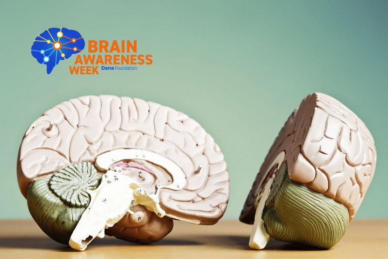 ilustracje na stronę www (10)