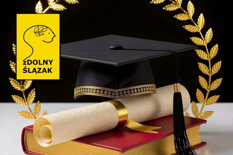 ilustracje na stronę www (9)